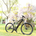 Hot selling 26'' BAFANG mid drive electric mountain bike,low price electrical bicycle made in china